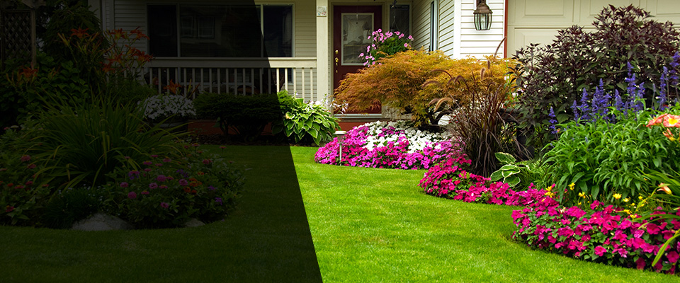 Rochester Landscapers